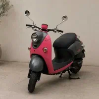 پاکشتی وینو