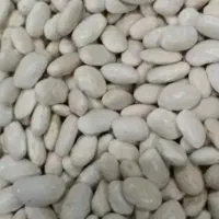 لوبیا سفید درجه یک