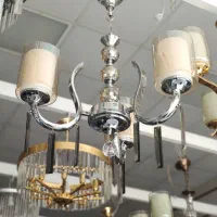 لوستر مرغابی