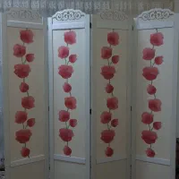 پاروان لوکس (پارتیشن)