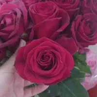 فروش همیشگی گل طبیعی|گل و گیاه طبیعی|اهواز, کوی طلاب|دیوار