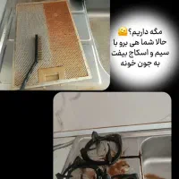 چربیزدای نانوسان (موتور شو)|مواد شوینده و دستمال کاغذی|نی‌ریز, |دیوار