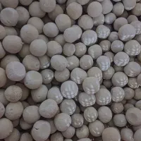 کشک حیوانی