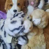 سلام|اسباب‌‌بازی|زابل, |دیوار