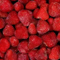 تامین نیروی کار توت فرنگی چینی و گلخانه