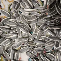 تخمه آفتابگردان