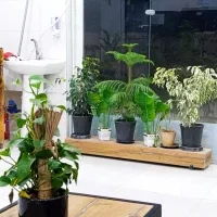 لوازم قهوه فروشی|کافی‌شاپ و رستوران|اهواز, نادری|دیوار