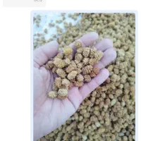 خشک توت