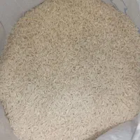 برنج درجه یک هاشمی سورتینگ زده|خوردنی و آشامیدنی|رشت, فرزانه|دیوار