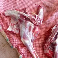 گوشت بز جوان فقط کیلو ۵۸۰  هزار