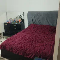 اجاره مسکونی|اجارهٔ خانه و ویلا|شیراز, سلطان آباد|دیوار