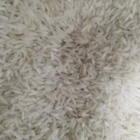 ۱ برنج شمال درجه یک خالص|خوردنی و آشامیدنی|تهران, آذربایجان|دیوار