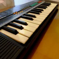 Casio SA-21