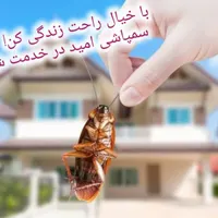 سمپاشی صددرصد تضمینی سم پاشی سوسک و ساس و ...|خدمات نظافت|تهران, تهرانپارس غربی|دیوار