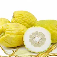 عرق اترج اعلاء