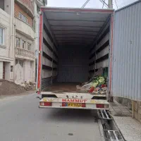 شرکت اسباب کشی منزل سنگین بار|خدمات حمل و نقل|گنبد کاووس, |دیوار
