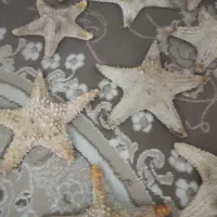 ستاره دریایی