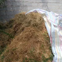 یونجه خشک