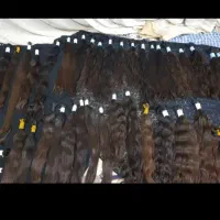 مرکز بزرگ مو طبیعی بور زال سیلک