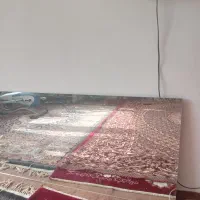 آیینه قدی|آینه|نورآباد, |دیوار