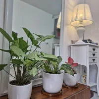 سوییت هر تایم از شبانه روز|اجارهٔ کوتاهمدت آپارتمان و سوئیت|تبریز, |دیوار