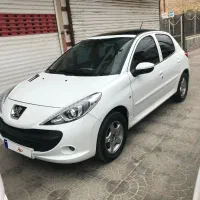 ۲۰۷ پاناروما دنده ای