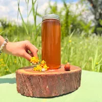 عسل شهد طبیعی دشت مغان /ارسال رایگان|خوردنی و آشامیدنی|تهران, ولنجک|دیوار