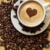 فروش قهوه عمده و جزیی همراه با دستگاههای مرتبط