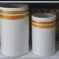 گیاه و گلدان|گل و گیاه طبیعی|اهواز, کوروش|دیوار