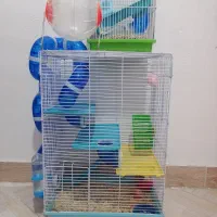 همستر همراه قفس و تجهیزات