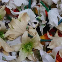 گلهای پلاستیکی
