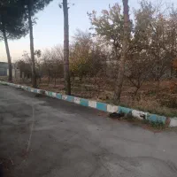 زمین باغی دور دیوار گلمکان سند شش دانگ متداژ 3200|فروش خانه و ویلا|گلمکان, |دیوار