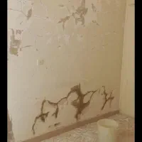 نقاشی رنگ امیزی متر۶۵درتمام نفازط تهران وحومه|خدمات پیشه و مهارت|تهران, تهرانسر شمالی|دیوار