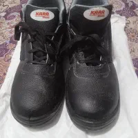 پوتین  کار نو