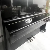 پیانو|پیانو، کیبورد، آکاردئون|شیراز, حومه شیراز|دیوار