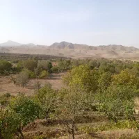 حواله خودرو