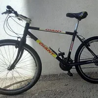 دوچرخه اساک اصلی|دوچرخه، اسکیت، اسکوتر|بجنورد, |دیوار