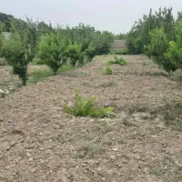 فروش و تهاتر زمین ۸۰۰۰ متری در یوسف اباد صیرفی