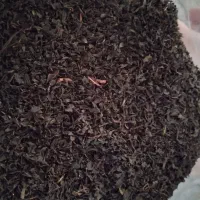 چای بهاره ممتاز لاهیجان درجه یک