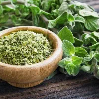 بازگشت به طبیعت برای سلامت جسم و روح با طب سنتی