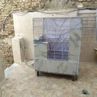 قفس|لوازم جانبی حیوانات|خرمشهر, |دیوار