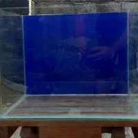 اکواریوم شیشه خم