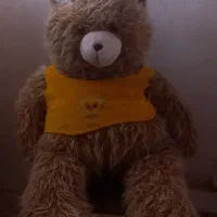 شاسخین