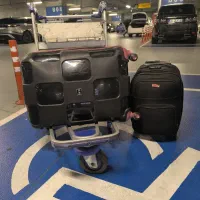 نیروی ساده اقا یا خانوم