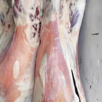 گوشت