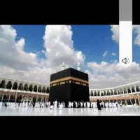 فیش جج عمره