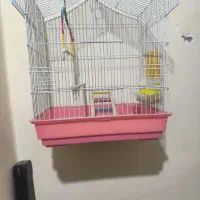 قفس با تمامی وسایل