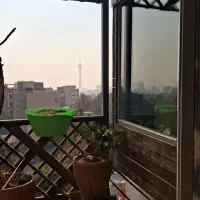 نصب توری مرغی بالکن تراس نورگیر جلوگیری کبوتر|خدمات پیشه و مهارت|تهران, دروس|دیوار