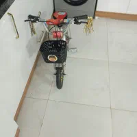 دوچرخه 12بچگانه