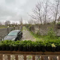 سبزه برای شب عید